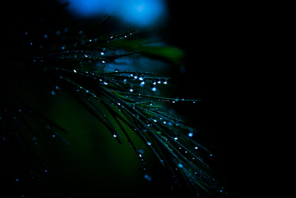 水滴と葉
water drop and leaf